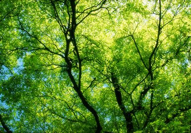 即日納品が可能となっております